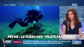 Pêche: le fléau écologique des "filets fantômes"…