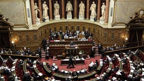 Le Sénat français a rejeté mercredi soir le projet de loi de finances pour 2013