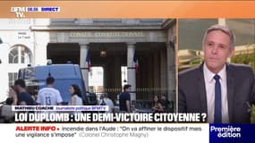 Censure partielle de la loi Duplomb: la FNSEA et la droite fulminent, la gauche applaudit 