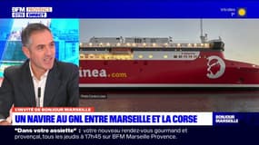 Liaisons Marseille-Corse: un nouveau bateau "propre" au gaz naturel liquéfié