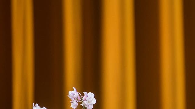 Une chose est sûre: tout déplacement du dalaï-lama est scruté à la loupe par Pékin, qui souhaite limiter au maximum les contacts du chef spirituel tibétain avec les hauts responsables occidentaux.