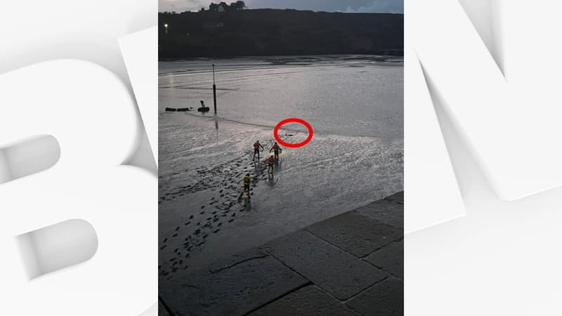 Le cétacé s'était échoué sur une plage de Port-en-Bessin.