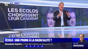 Rousseau ou Jadot: qui va remporter la primaire écolo ?