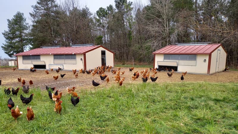 SERE Fabricants : Bâtiments d’élevage made in Landes