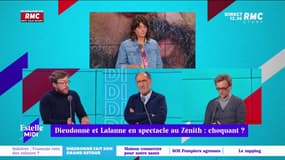 Spectacle de Dieudonné et Francis Lalanne au Zénith : est-ce choquant ? 