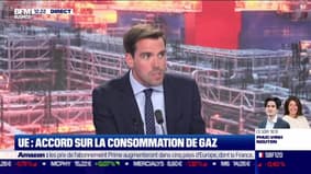 Patrick Martin-Genier (Sciences Po) : UE, accord sur la consommation de gaz - 26/07