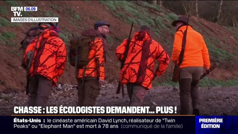 Haut-Rhin: les écologistes et les agriculteurs demandent aux chasseurs d'exécuter 2.000 cerfs au 1er février