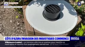 Côte d'Azur: des boîtiers pour lutter contre l'invasion des moustiques