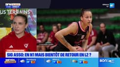 Tous terrains du lundi 25 novembre - SIG Asso : en N1 mais bientôt de retour en L2 ?