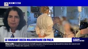 Expansion du variant Delta: "On n'est pas du tout surpris", explique la responsable de la cellule Covid à l'hôpital Sainte Musse à Toulon
