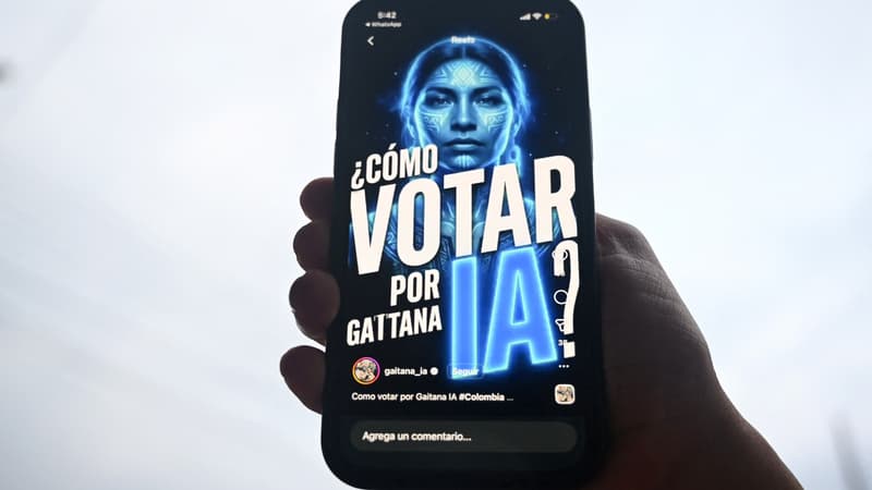 En Colombie, une intelligence artificielle "défenseure des animaux" et "environnementaliste" sera candidate pour les communautés indigènes aux élections législatives
