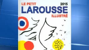 Psychoter, zénitude… Les nouveaux mots du dictionnaire Petit Larousse 2015