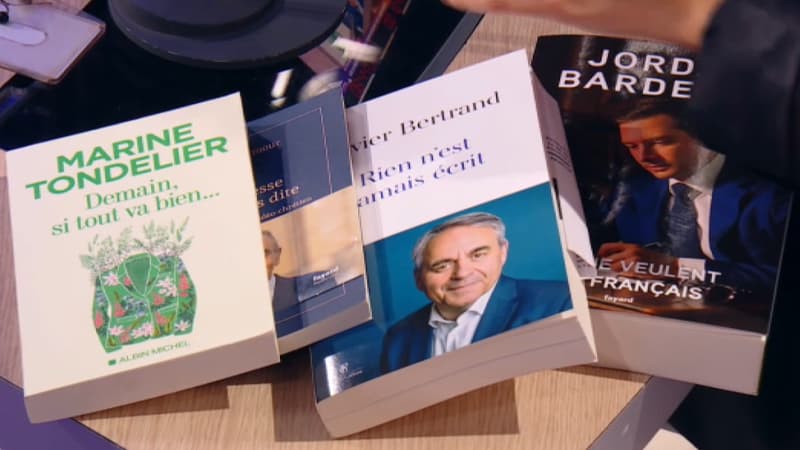 "Ce sont souvent des bides": pourquoi les livres de politiques continuent d'envahir les librairies?