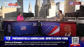 Harris/ Trump : dernières heures de campagne - 03/11