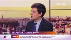 Face à Apolline : Julien Denormandie - 23/12