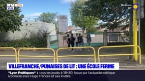 "On en a marre": l'école Albert Camus de nouveau fermée après une infestation de punaises de lit