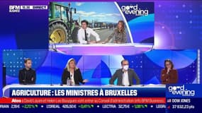 Agriculture : les ministres à Bruxelles - 23/01