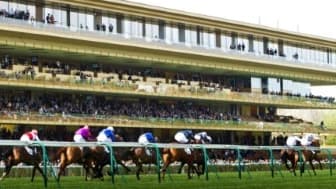 Les pronos hippiques du dimanche 30 avril 2023
