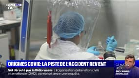 Covid-19: l'hypothèse d'une fuite accidentelle d'un laboratoire chinois revient en force