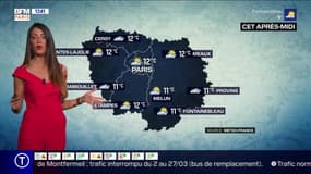 Météo Paris-Ile de France du 17 février: Un temps sec et doux