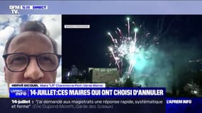 "Nous faisons le choix de la précaution": le maire de Charenton-le-Pont décide d'annuler le feu d'artifice pour le 14-Juillet