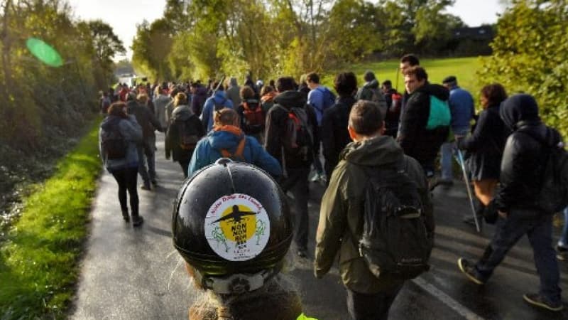 Une marche organisée dans la ZAD le 21 octobre 2017 -