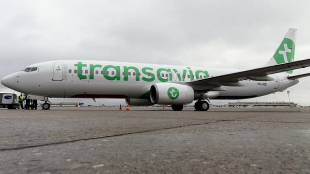 Un avion de la compagnie Transavia, le 26 janvier 2015 à Paris-Orly