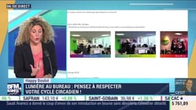 Lumière au bureau: pensez à respecter votre cycle circadien ! - Happy Boulot, par Laure Closier - 04/11