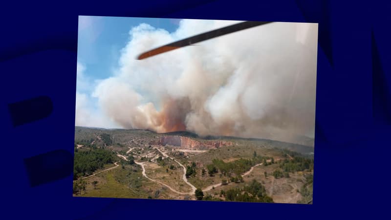 Pyrénées-Orientales: près de 1000 hectares brûlés dans des incendies