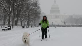 Une femme sur des skis promène son chien le long du National Mall alors que la neige tombe à Washington, DC, le 6 janvier 2025.