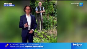 Un peu de cinéma, du jardinage et de la bonne humeur - La météo de Colas du mardi 27 janvier 2026