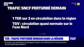 Grève du 16 février: un trafic SNCF perturbé dans les Hauts-de-France