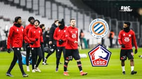 Ligue 1 : Le LOSC en quête de rachat après la claque infligée par le PSG