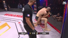 Résumé - Hexagone MMA 34 : Un gros TKO a la fin du premier round entre Ulrich et Baillot