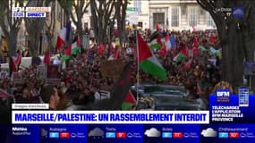 Marseille: un rassemblement en soutien à la Palestine interdit