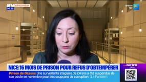 Nice : 16 mois de prison pour le chauffard de la Promenade des Anglais
