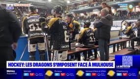 Hockey: les Dragons de Rouen s'imposent face à Mulhouse