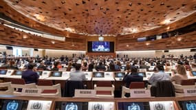 Les délégués se rassemblent le jour de l'ouverture de la 75e Assemblée mondiale de la santé de l'Organisation mondiale de la santé (OMS) à Genève, le 22 mai 2022. Photo d'illustration