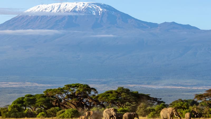 Cinq personnes mortes dans un crash d'hélicoptère sur le Kilimandjaro en Tanzanie