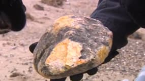 Le vomi de baleine, ou ambre grise, trouvé sur une plage anglaise par un homme et son chien, est une substance très prisée e parfumerie.