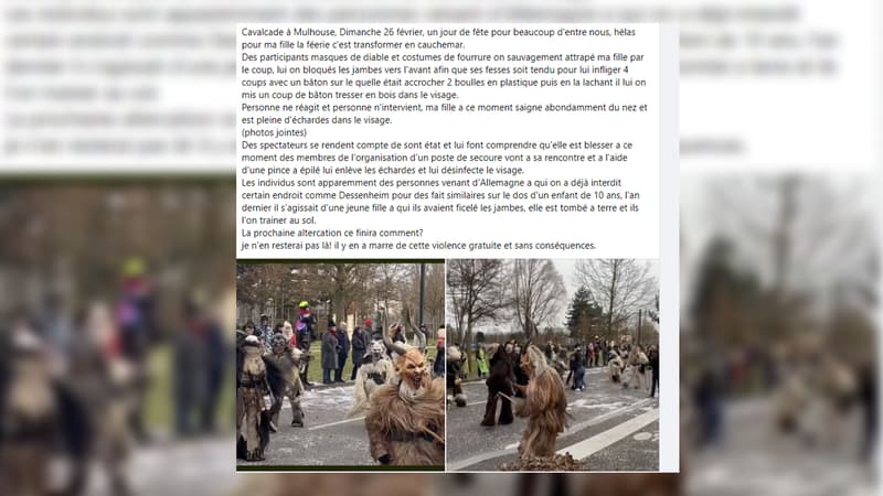 Une mère de famille a dénoncé sur Facebook les violences subies par sa fille lors de la cavalcade du carnaval de Mulhouse 2023.