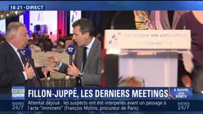 Derniers meetings de la primaire à droite: "J'ai envie que la France connaisse la méthode Fillon pour lui donner une nouvelle espérance", Gérard Larcher