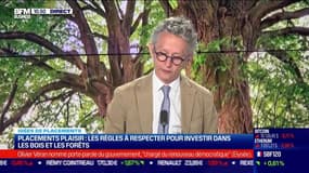 Idée de placements: Placement plaisir, les règles à respecter pour investir dans les bois et les forêts - 04/07