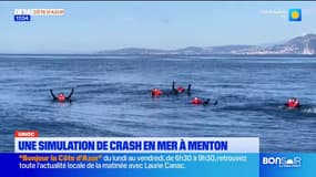 Menton : le préfecture maritimes organise un exercice crash d'avion en mer 