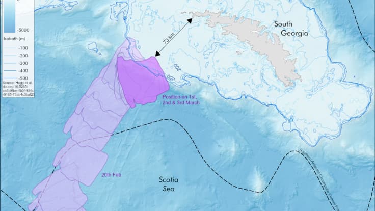 La route empruntée par l'iceberg A23a depuis le 17 janvier 2025, immobilisé depuis le 1er mars 2025 au large de l'île britannique de Géorgie du Sud. La route empruntée par l'iceberg A23a depuis le 17 janvier 2025, immobilisé depuis le 1er mars 2025 au large de l'île britannique de Géorgie du Sud.
