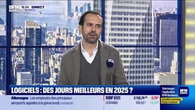 "Les logiciels gardent de beaux jours devant eux" - 07/03