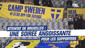 Belgique - Suède : après l'attentat de Bruxelles, les supporters ont vécu une soirée angoissante 