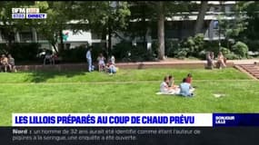 Les Lillois s'adaptent aux fortes températures, le pic de chaleur est attendu samedi avec 35°C dans la région