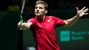 David Goffin