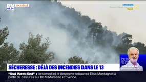 Incendie à Aubagne: les opérations de noyage se poursuivent